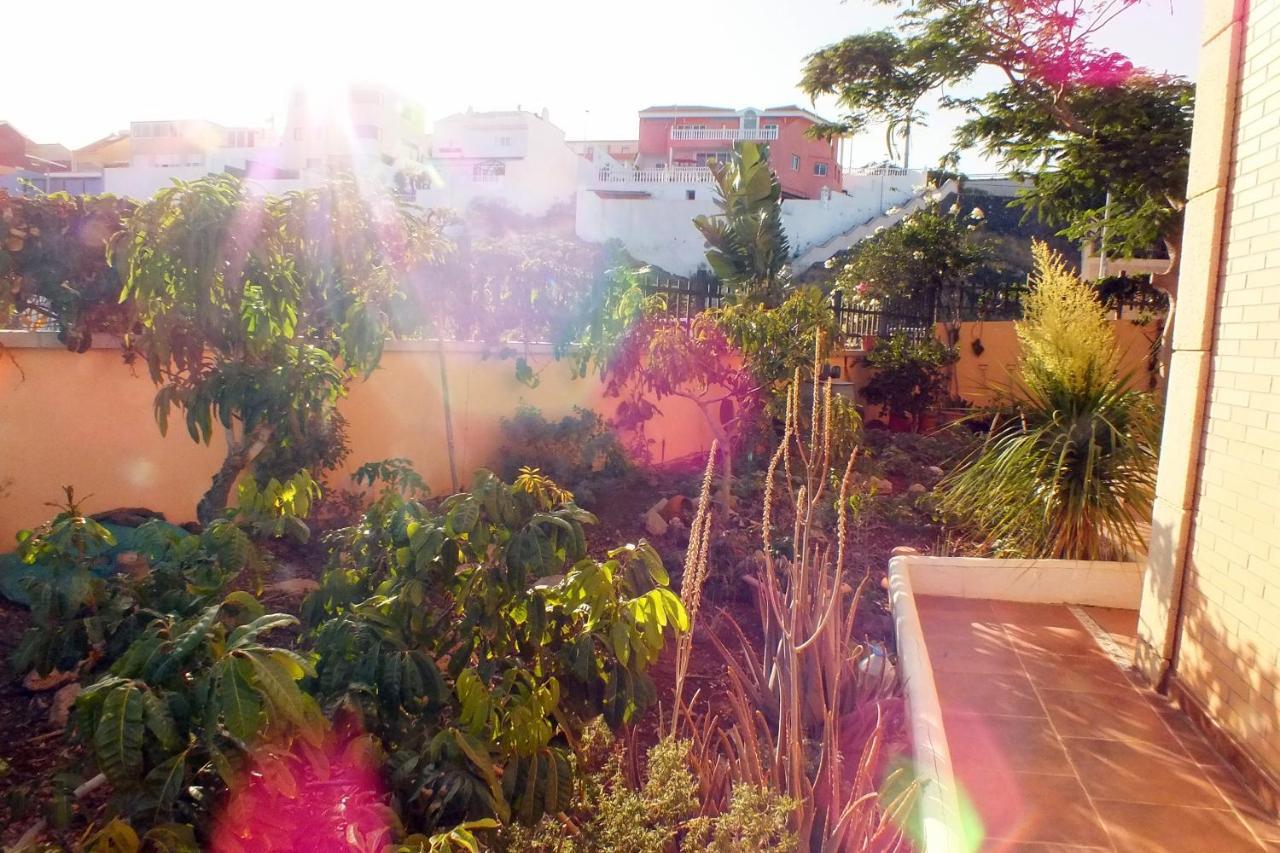 Séjour chez l'habitant Casa Nea El Rosario (Tenerife)
