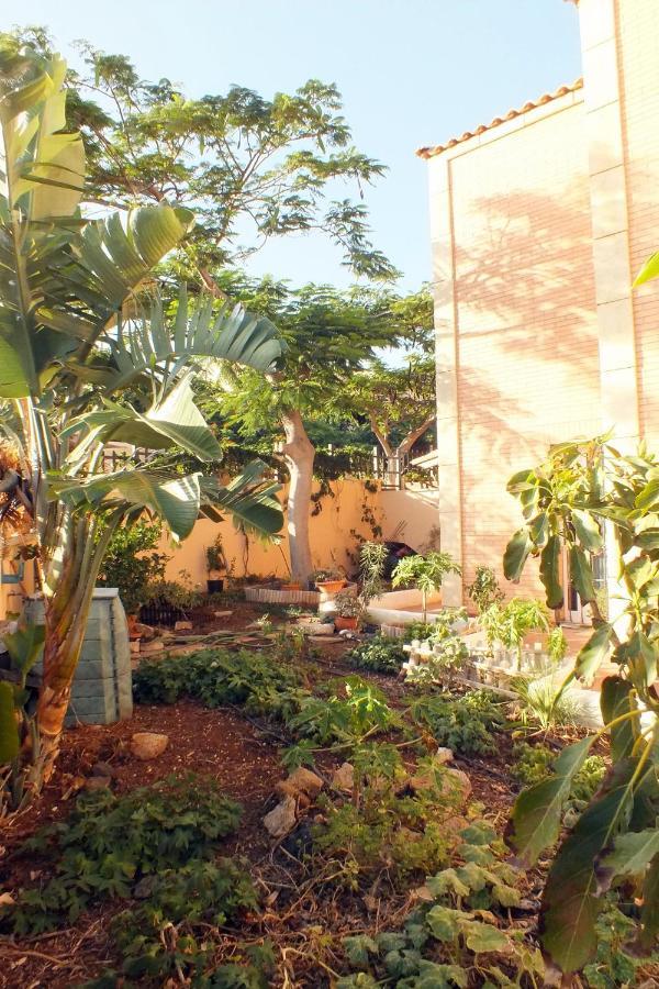 Homestay Casa Nea *